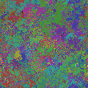 World at epoch 49000
