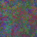 World at epoch 49000