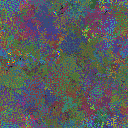 World at epoch 51000