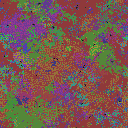 World at epoch 24000