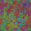 World at epoch 25000