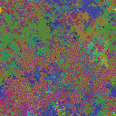 World at epoch 25000