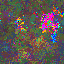 World at epoch 49000