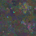 World at epoch 22000
