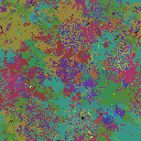World at epoch 25000