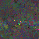 World at epoch 25000