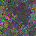 World at epoch 25000