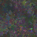 World at epoch 31000