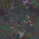 World at epoch 35000