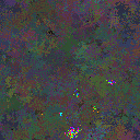 World at epoch 35000