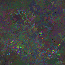 World at epoch 37000