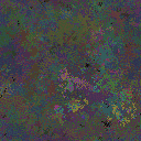 World at epoch 25000