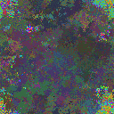 World at epoch 35000