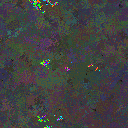 World at epoch 40000