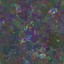 World at epoch 38000