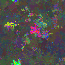 World at epoch 40000
