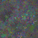World at epoch 25000