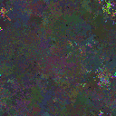 World at epoch 49000