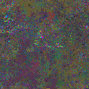 World at epoch 24000