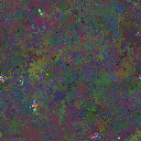 World at epoch 35000