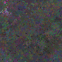 World at epoch 49000