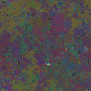 World at epoch 25000
