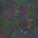 World at epoch 49000