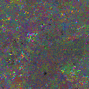 World at epoch 24000