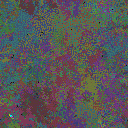 World at epoch 31000