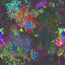 World at epoch 47000