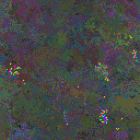 World at epoch 55000