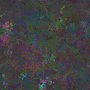 World at epoch 41000