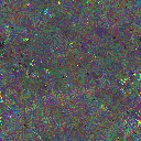 World at epoch 24000