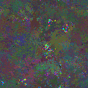 World at epoch 35000