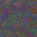 World at epoch 49000