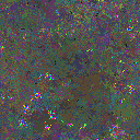 World at epoch 24000