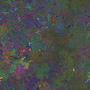 World at epoch 25000
