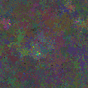 World at epoch 40000