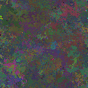 World at epoch 31000