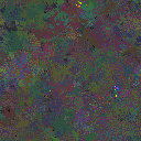 World at epoch 49000