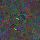 World at epoch 50000