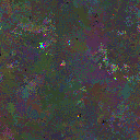 World at epoch 25000