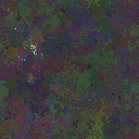 World at epoch 29000