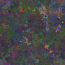 World at epoch 31000