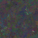 World at epoch 25000