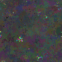 World at epoch 35000