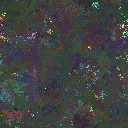 World at epoch 25000