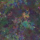 World at epoch 31000