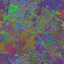 World at epoch 25000
