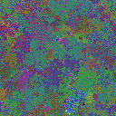 World at epoch 25000